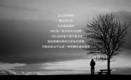 英雄联盟总决赛赛程-桑巴之殇，当维尼修斯的逆袭撕裂宿命，意大利的钢铁防线为何沦为背景板？