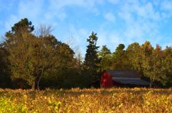 英雄联盟总决赛-破碎的双塔，詹姆斯如何在新奥尔良的围剿中刻下灵魂印记
