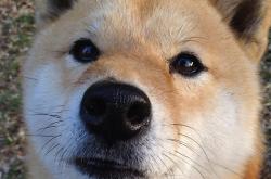 英雄联盟总决赛门票-雅典之夜，基米希如奥林匹斯神祇降临，提前终结与AC米兰的欧冠悬念