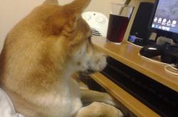 英雄联盟总决赛时间-雪夜驯鹿与烈焰探戈，苏亚雷斯如何用节奏肢解芬兰防线