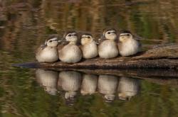 -绝境重生！萨拉赫终场神迹，埃及决胜局力克巴拉圭铸就硬仗之王传奇