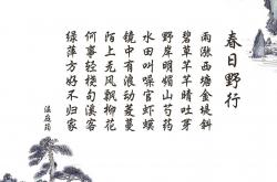 英雄联盟总决赛-掘金碾压鹈鹕，霍勒迪化身关键先生，一场战术与意志的胜利