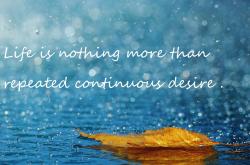 -平行胜利，当利物浦的红色浪潮遇见穆勒的黄昏闪电