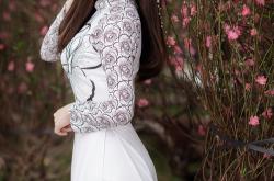 LOL赛事-无声惊雷，单节风暴与克莱的隐形指挥