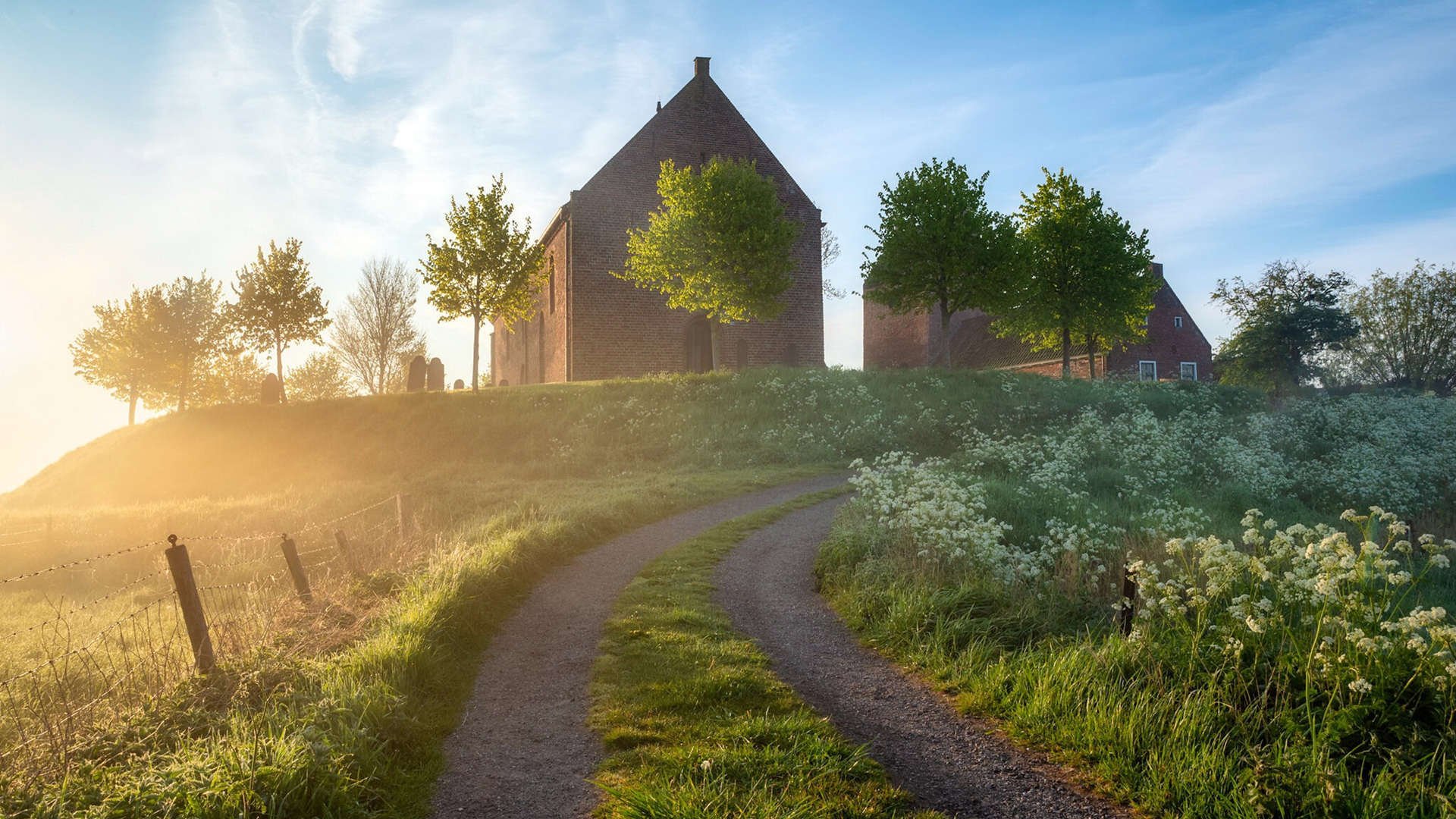 双核时代，布伦森打破质疑的救赎之战与魔术团队篮球的完美风暴