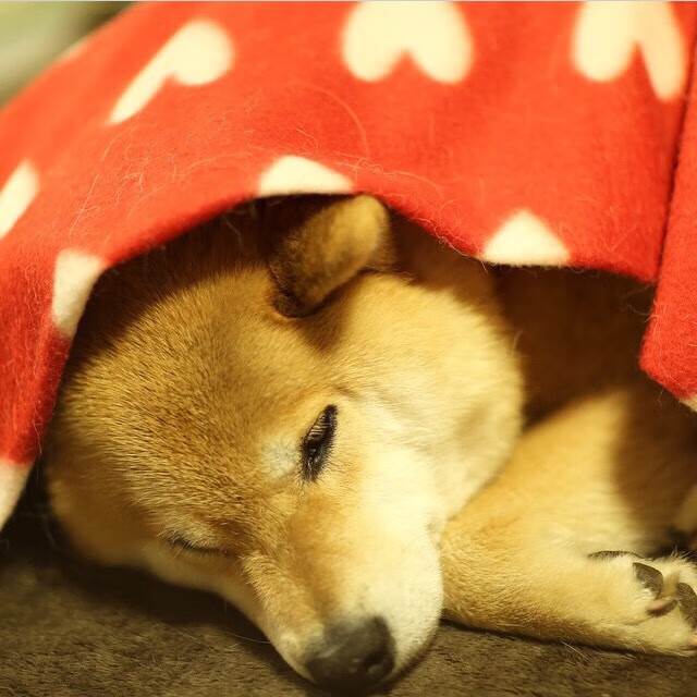 深水炸弹！保罗末节15分导演逆转，鹈鹕惊险灭火活塞