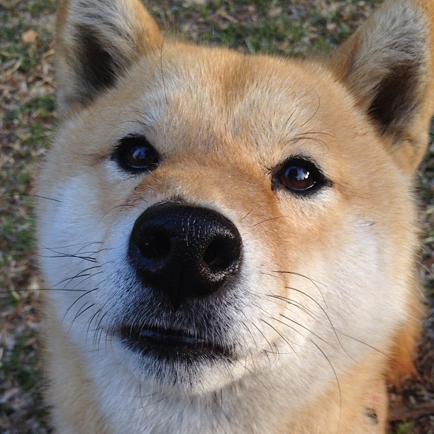 雅典之夜，基米希如奥林匹斯神祇降临，提前终结与AC米兰的欧冠悬念