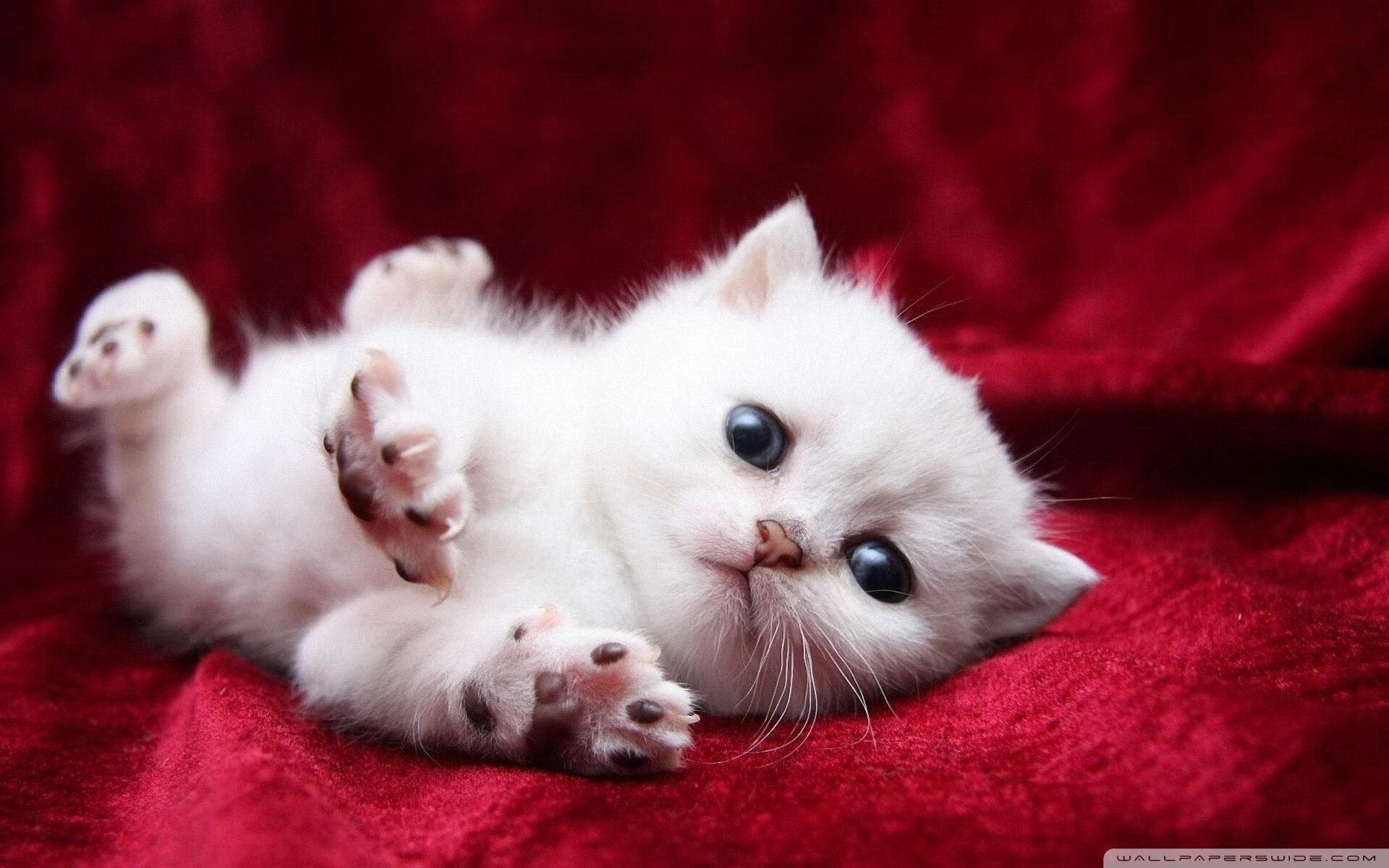 生涯之夜！乔治狂砍50分，太阳绝地反击硬仗取胜新疆