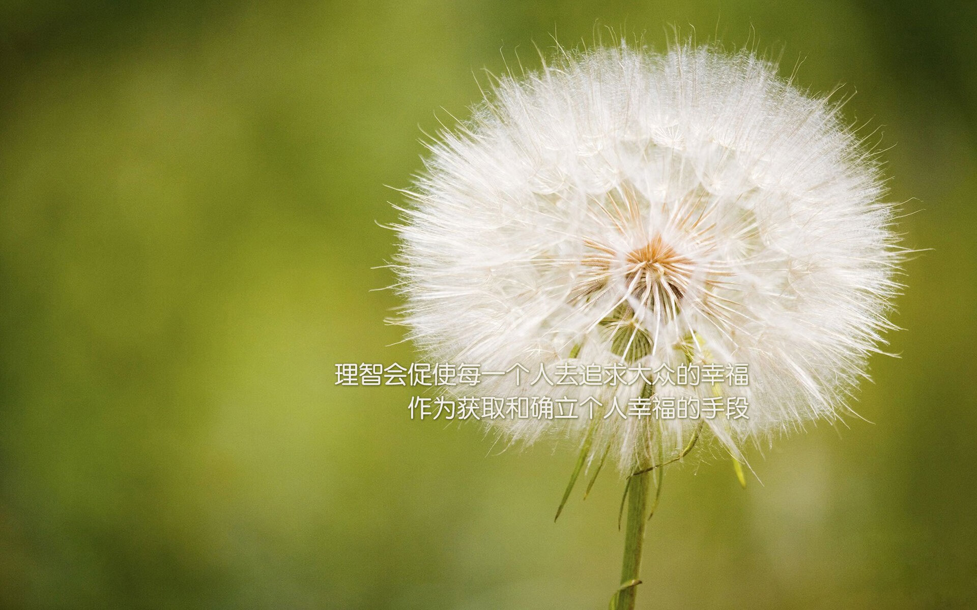 聚光灯外的决胜齿轮，西亚卡姆如何用平凡主宰京沪大战