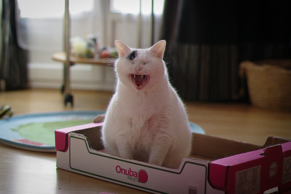 与子同袍,美加墨暴雨夜,拉梅洛扛起的不只是一支球队