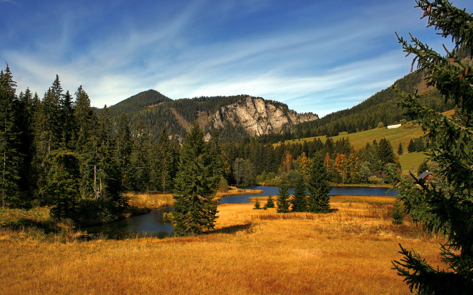 镜像之战,当东契奇的魔法遭遇北京的钢铁长城