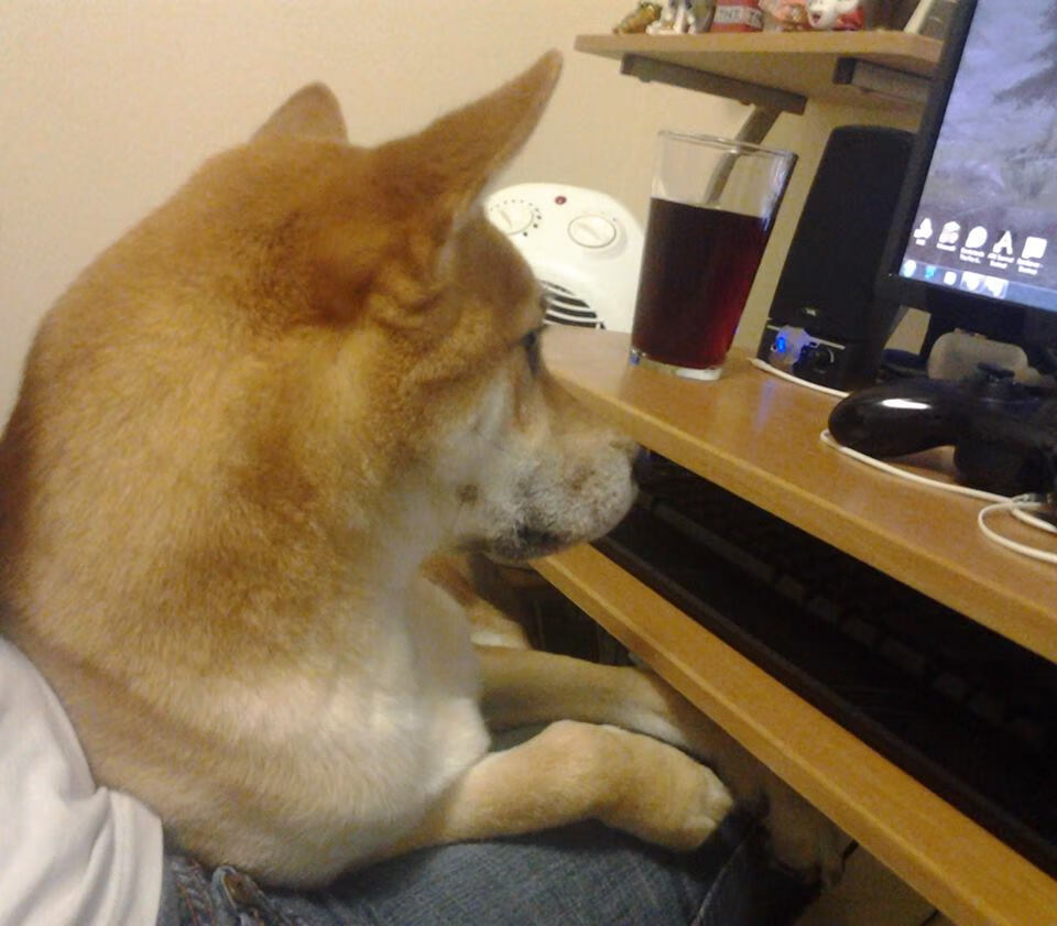 雪夜驯鹿与烈焰探戈,苏亚雷斯如何用节奏肢解芬兰防线