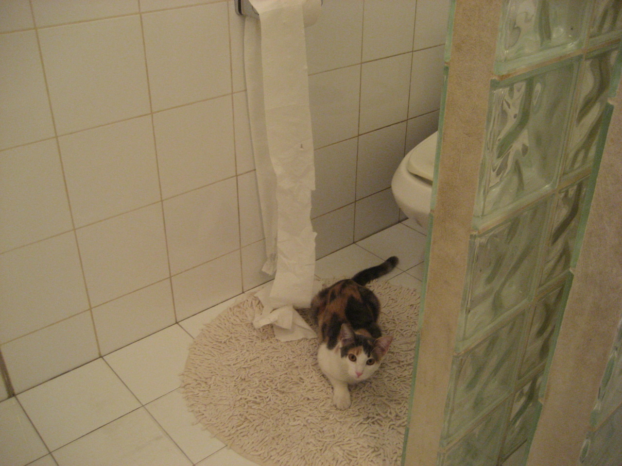 血性之路，从西非海岸到东决地板 论个体与民族的韧性绽放