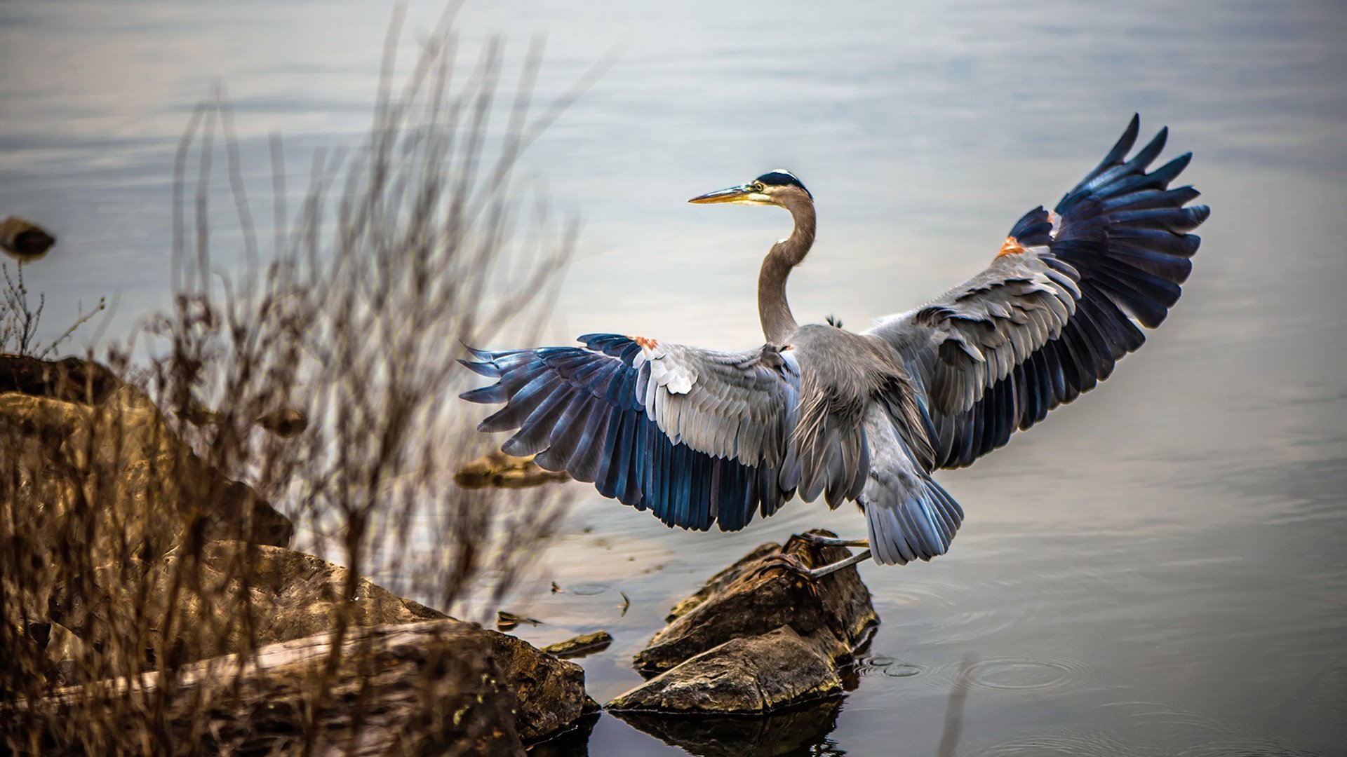 绿茵无界，从西甲国家德比到阿尔及利亚之夜