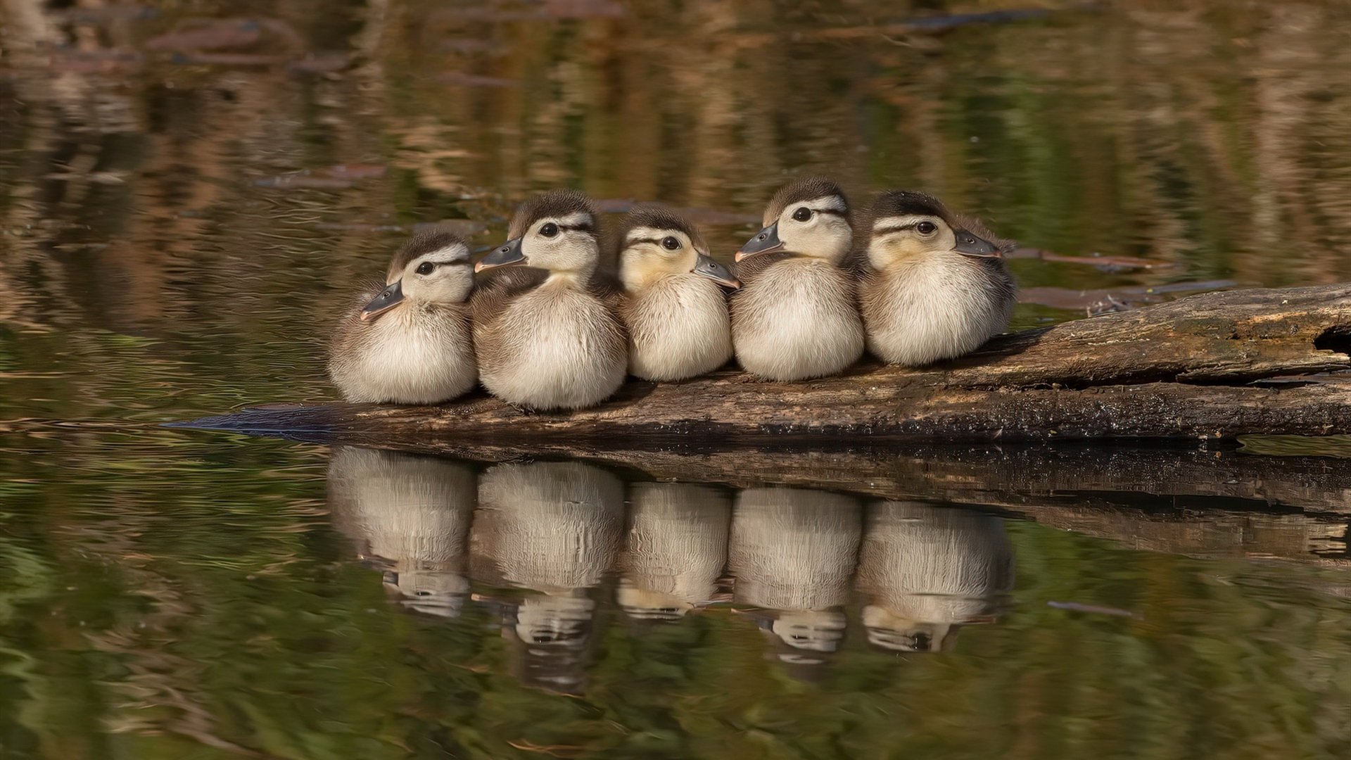 绝境重生！萨拉赫终场神迹，埃及决胜局力克巴拉圭铸就硬仗之王传奇