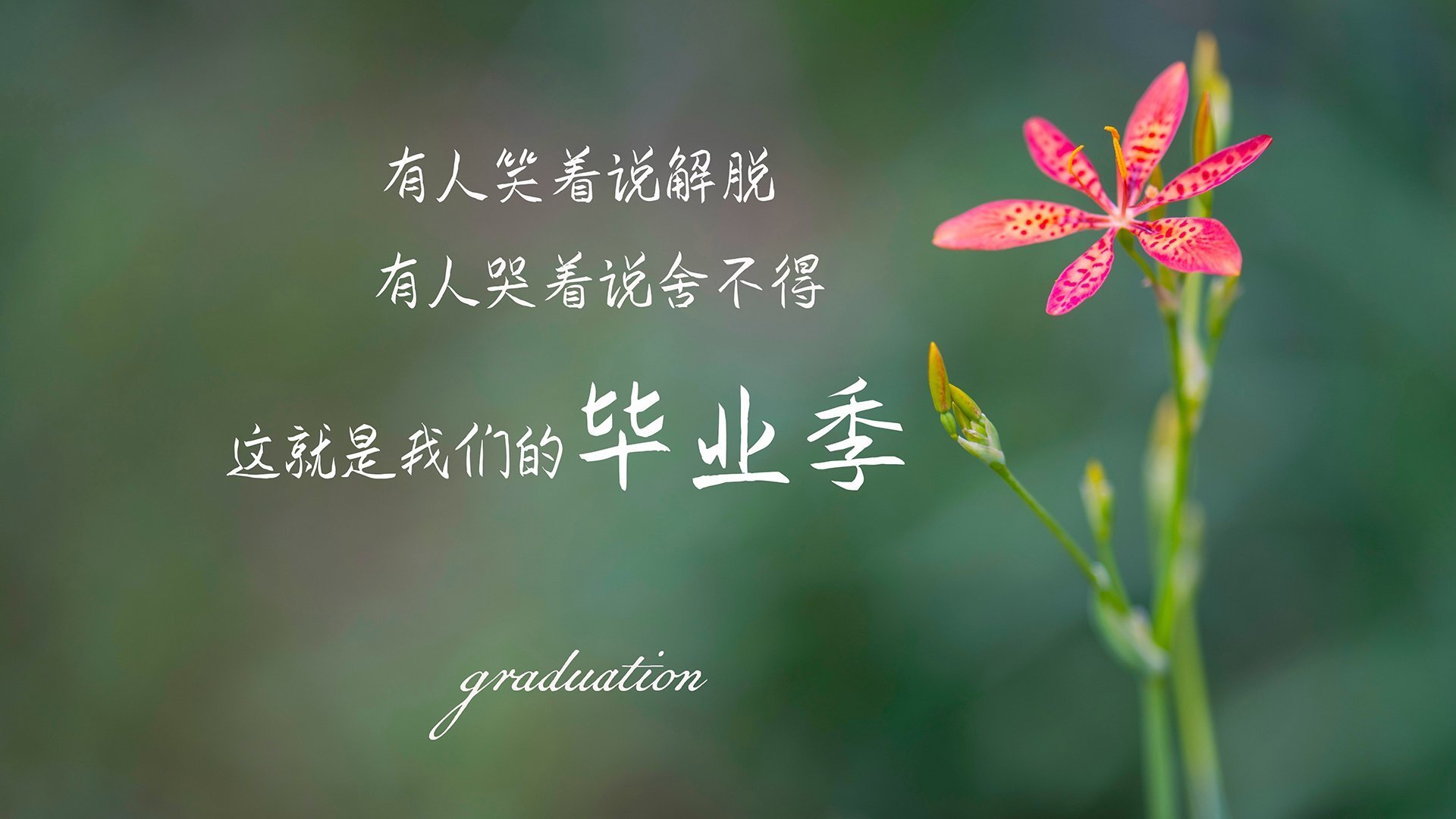 悬崖边的反击，雷霆生死战撕裂独行侠，续写青春风暴