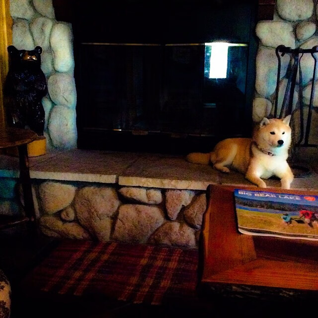 棋盘上的钢铁防线,巴斯托尼如何用加拿大进攻的思维一波摧毁AC米兰