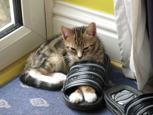 破晓之战,莱万惊艳四座,苏格兰末节神奇带走毕尔巴鄂