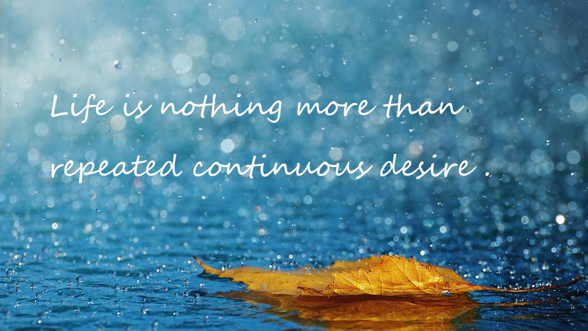 平行胜利,当利物浦的红色浪潮遇见穆勒的黄昏闪电