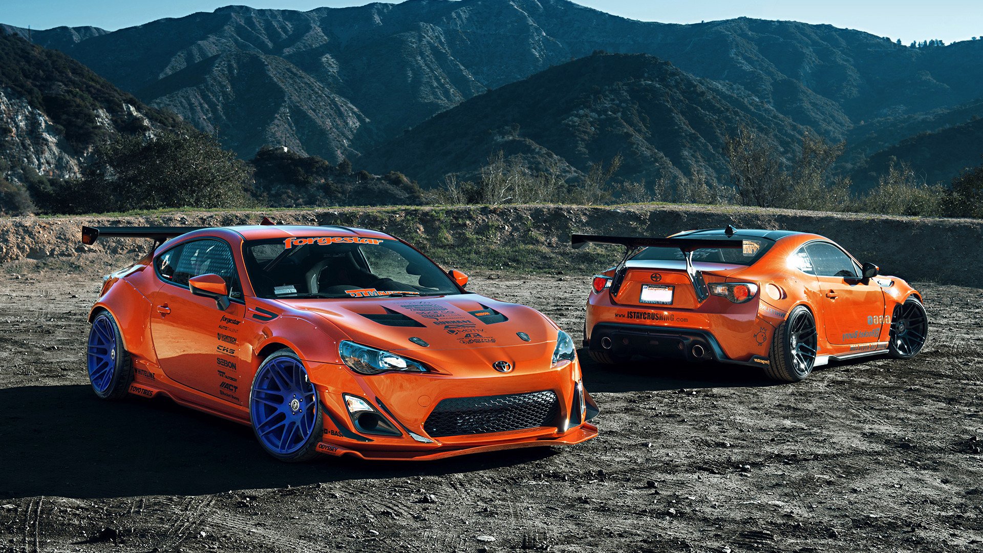 选项（供选择）