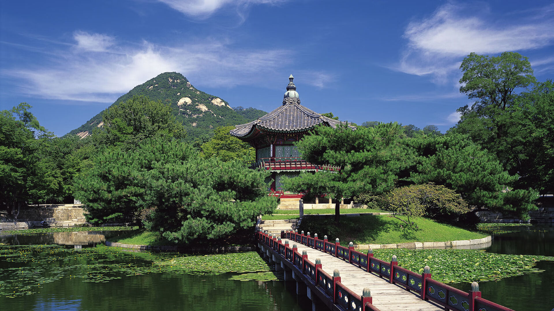 桑巴风暴，2026世界杯B组焦点战，巴西碾压阿联酋，维尼修斯用强硬对抗写就唯一答案
