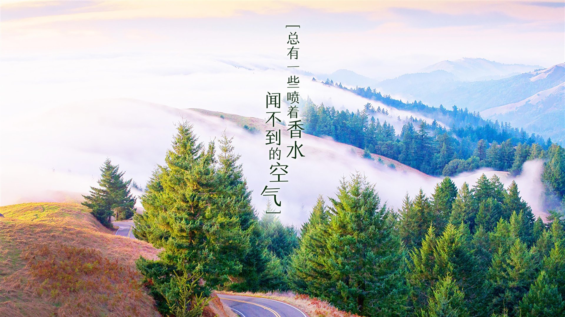 烽火连天·孤胆胜天,2026世界杯A组关键战,智利绝境险胜尼日利亚,塔雷米以一人之力擎起胜利旗帜