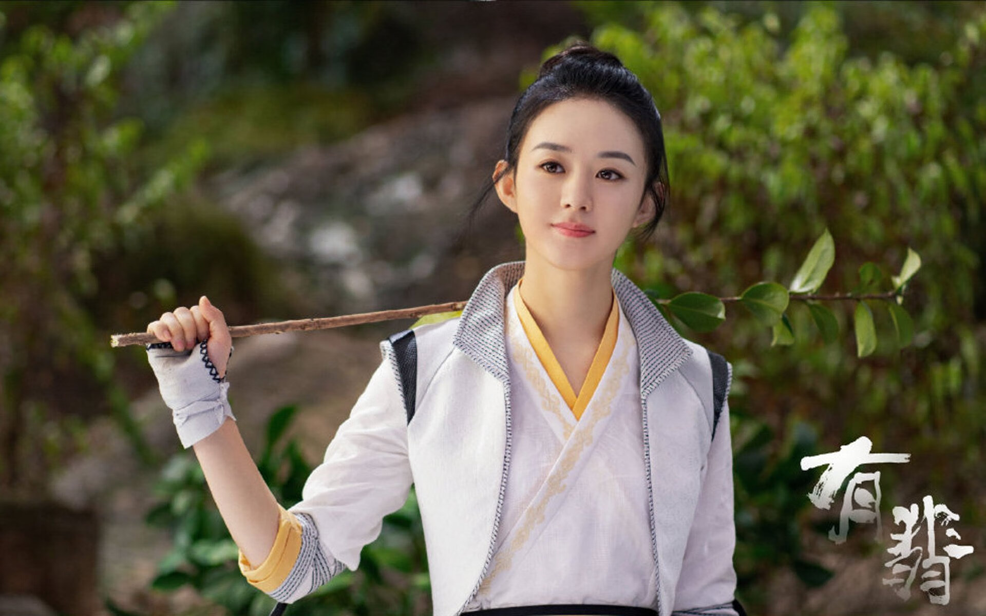 喀尔巴阡之墙，莱万多夫斯基的隐喻，与一场定义唯一的铁血战役