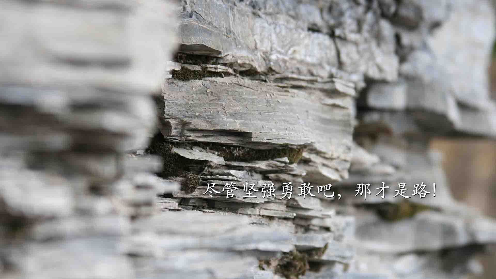 荒漠与绿洲，2026世界杯焦点战，尼日利亚中场风暴险胜厄瓜多尔，阿诺德独舞闪耀