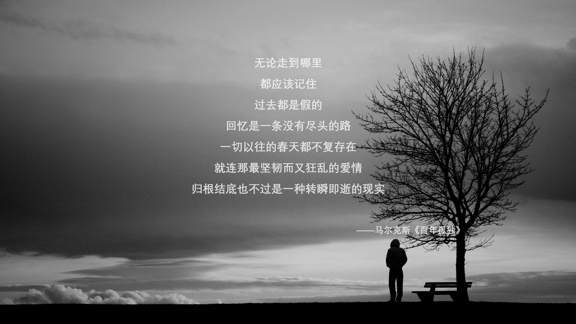 沙漠逆旅,当印度神灯照亮末路,C罗用不死鸟之翼划破2026的夜空