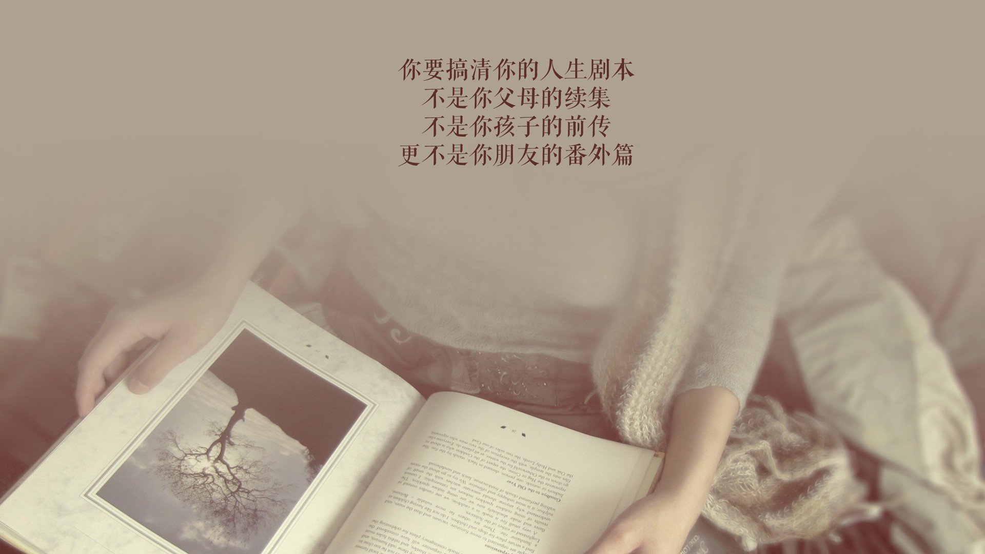 沙漠奇迹，当卡塔尔改写足球编年史，孙兴慜在风暴眼中点燃亚洲之光